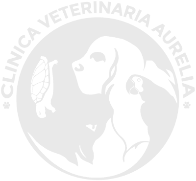 Clinica Veterinaria Roma